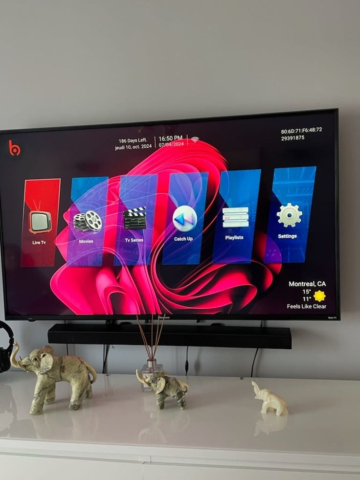 IPTV viewing snapshot on a television 5