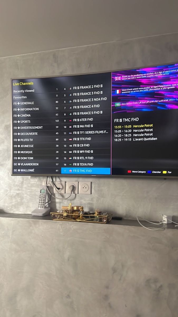 IPTV viewing snapshot on a television 7